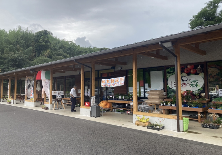 千葉　人気の道の駅